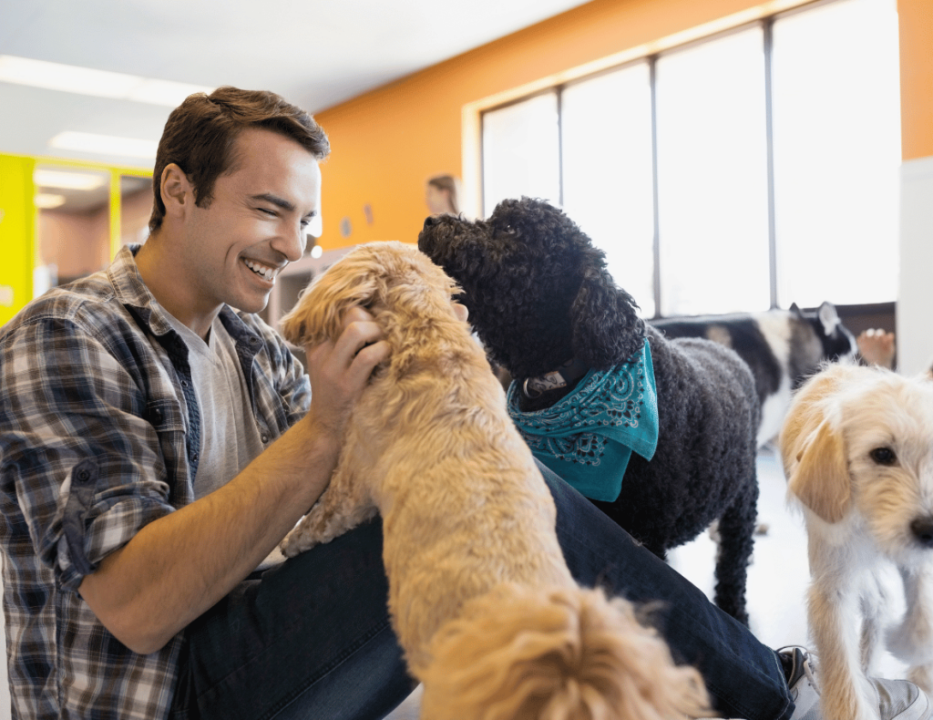 A man sitting on the floor indoors, surrounded by several dogs, smiles as he interacts with them, basking in a rare moment away from the hustle of automated reminders and SEO demands.