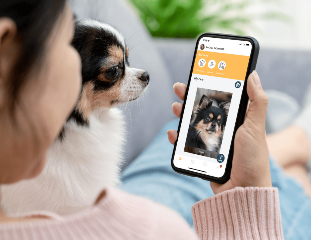 A person holding a smartphone displaying a branded pet care app, while a small dog curiously looks at the screen.