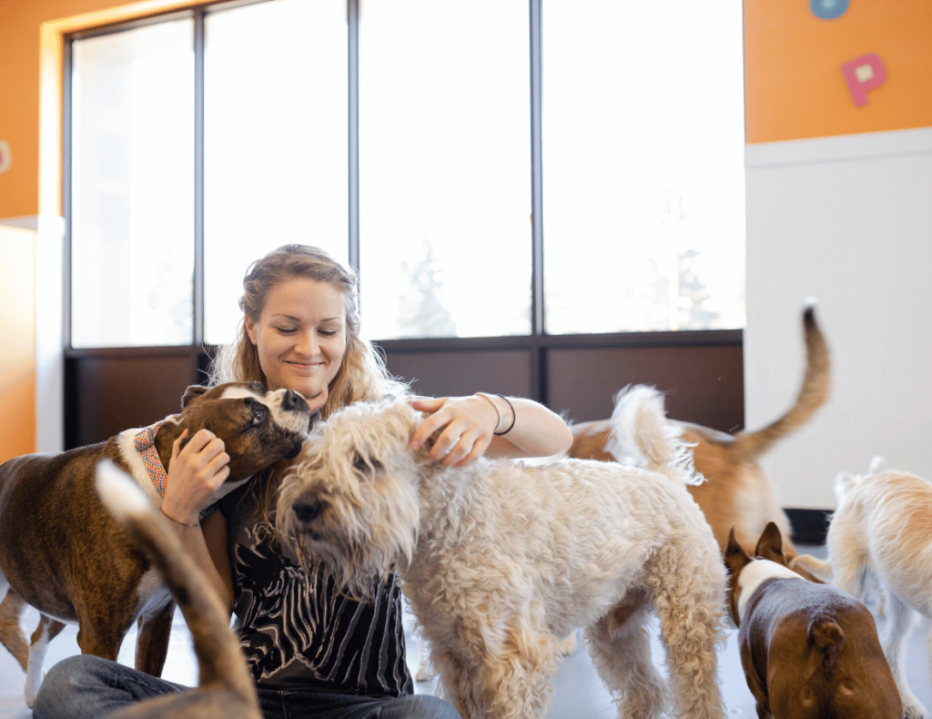 A person sitting on the floor, surrounded by several dogs in a brightly lit room, petting them affectionately.