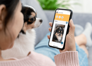 A person holding a smartphone showcases a cute photo of their small dog, while another similar pup lounges beside them on the couch, perhaps after a fun day at daycare. They might even be using RunLoyal to manage their dogs' grooming and more.